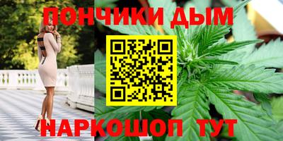 сатива Кандалакша