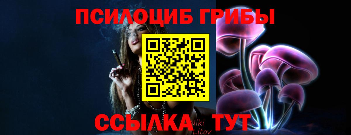 Галлюциногенные грибы Magic Shrooms Карталы